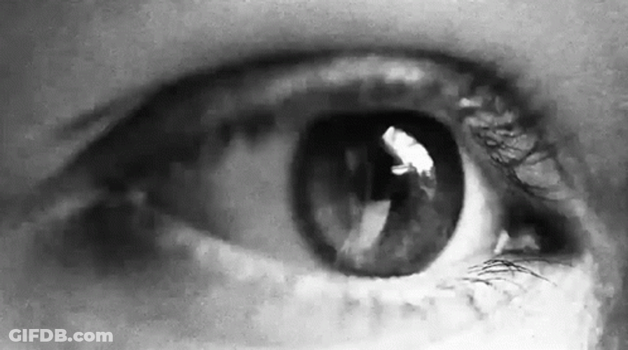 Eye To Eye Black And White GIF
