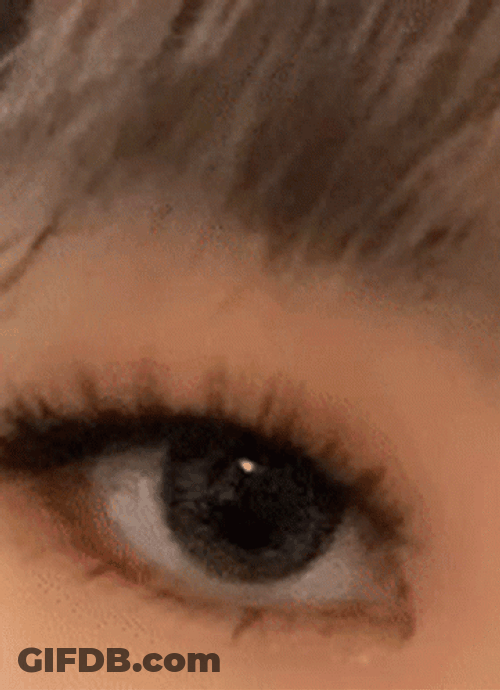 Eye To Eye Blinking GIF