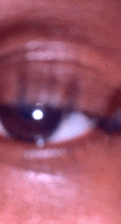 Eye To Eye Boomerang Shot GIF