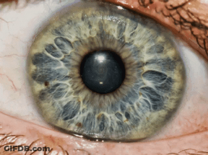 Eye To Galaxy Eye GIF