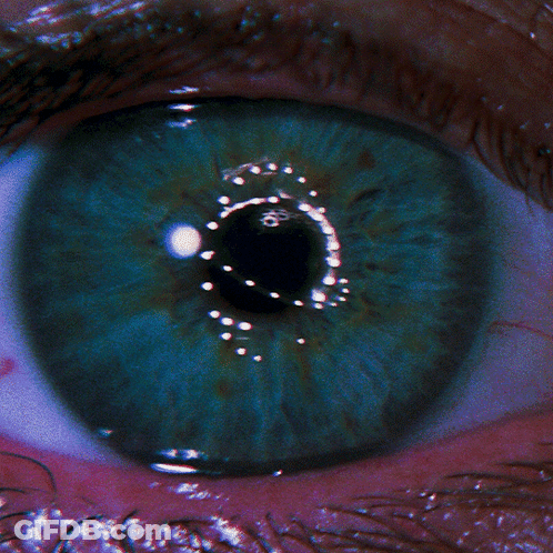 Eye With Letter H Reflection GIF