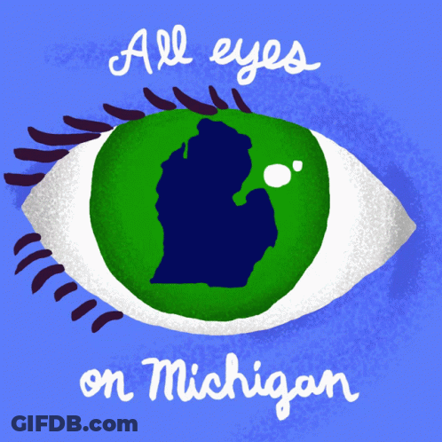 Eye With Michigan In Center Drawing GIF
