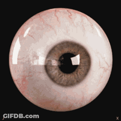 Eyeball Looking Around GIF