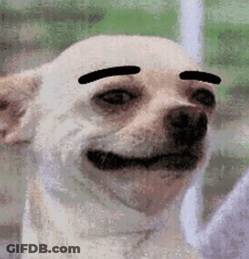 Eyebrow GIF