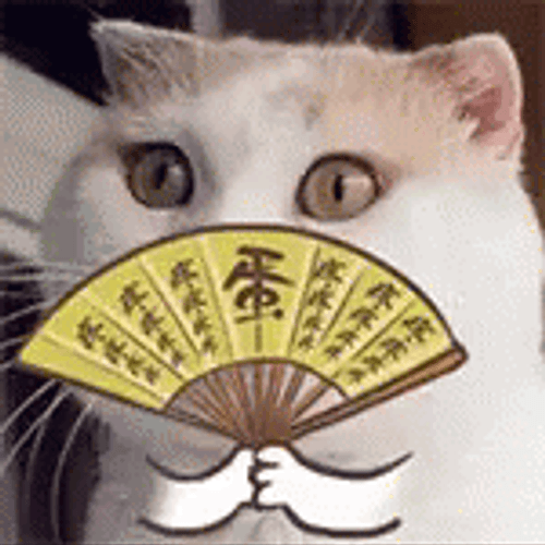 Eyes Continuous Blink El Gato Meme GIF