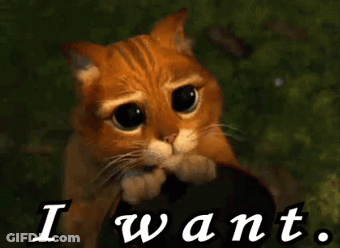 Eyes Pleading Cat I Want That GIF