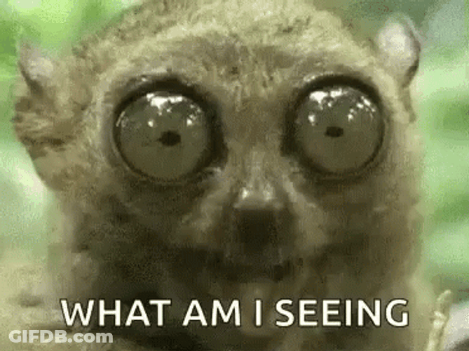 Eyes Popping Out What Am I Seeing GIF