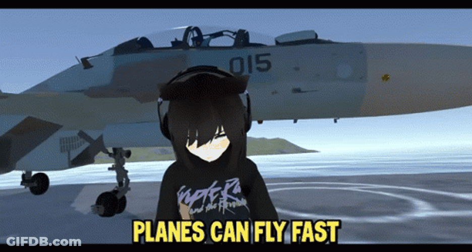 F-22 Raptor Jet Emi VRChat Video Game GIF