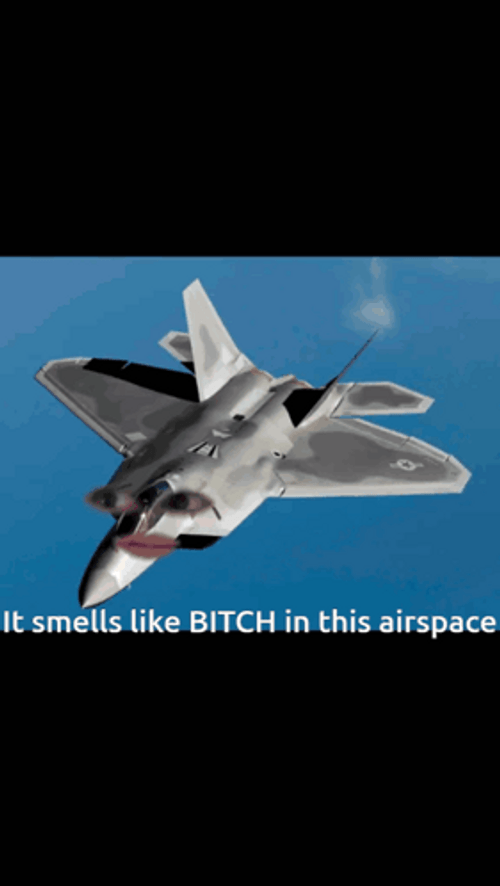 F22 Raptor Airspace Meme GIF