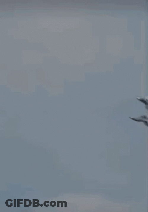 F22 Raptor Duo In Flight GIF