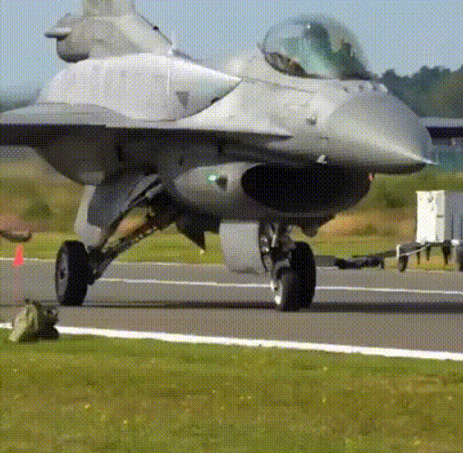 F22 Raptor Pilot Mimicking Swaying GIF