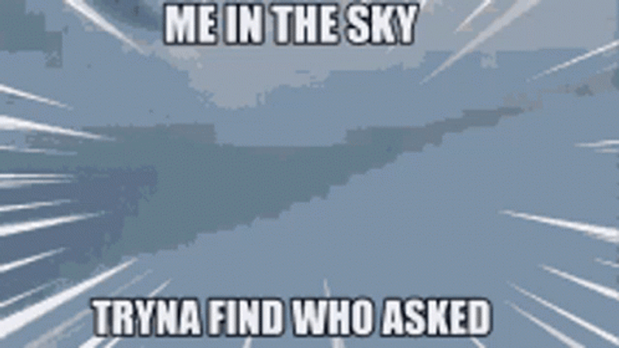 F22 Raptor Who Asked Sky Search GIF