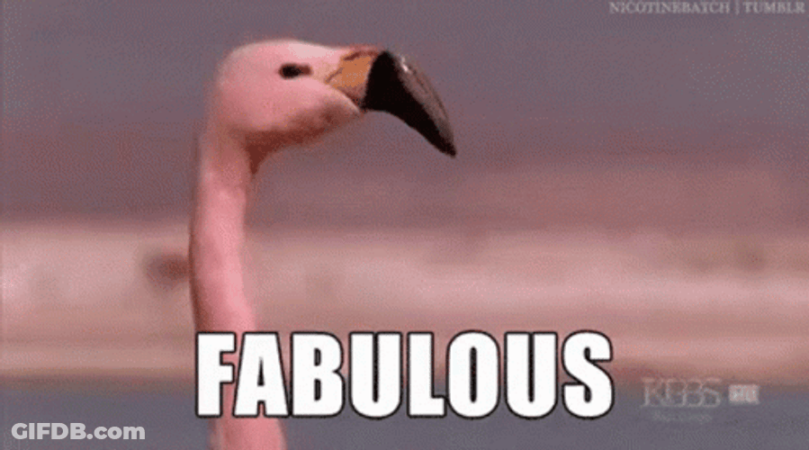 Fabulous Flamingo GIF