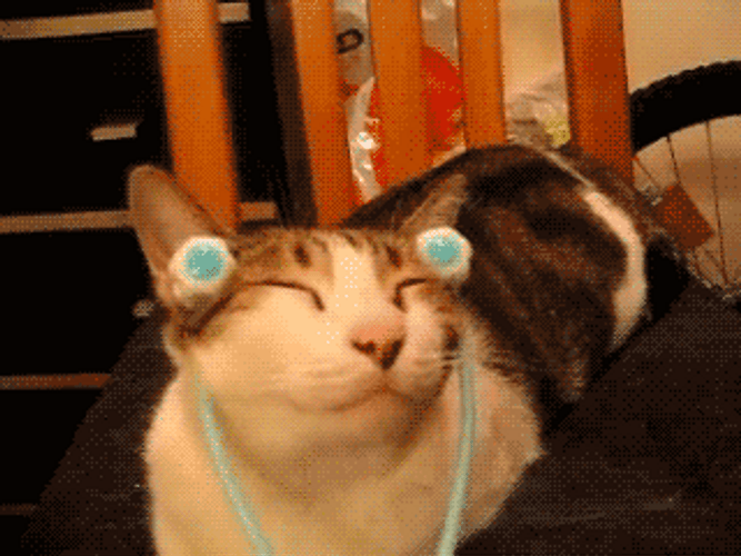 Face Massage Cute Cat GIF