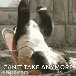 Face Palm Panda GIF