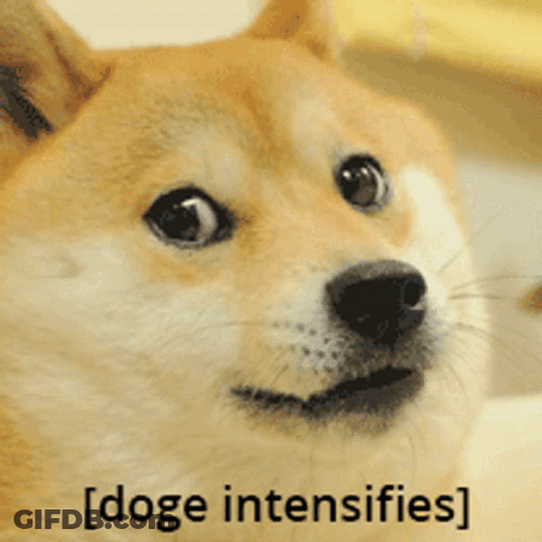 Face Shock Doge Meme GIF