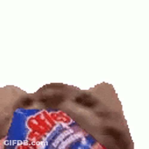 Face Swap Kitty Eating Ruffles Potato Chip GIF