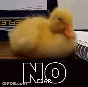 Face That's What She Said GIF