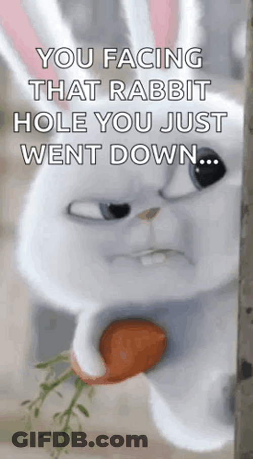 Facing That Rabbit Hole You Just Facing Down GIF