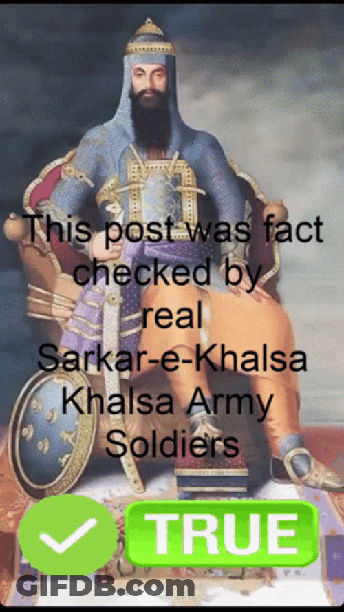 Fact Check Patriot GIF