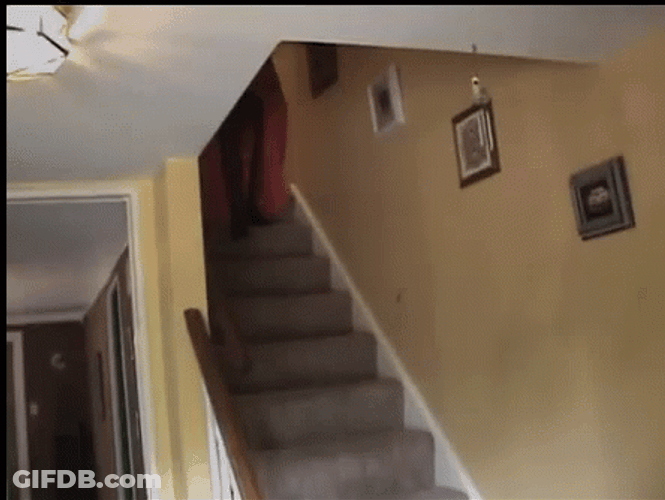 Fail Guy Costume Introduction Falling Down Stairs GIF