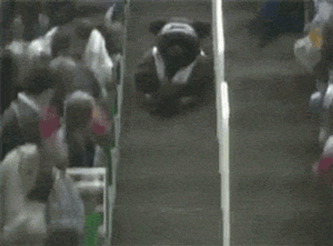 Fail NBA Mascot Slide GIF