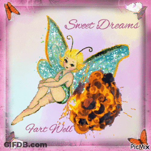 Fairy Sweet Dreams And Fart Well GIF
