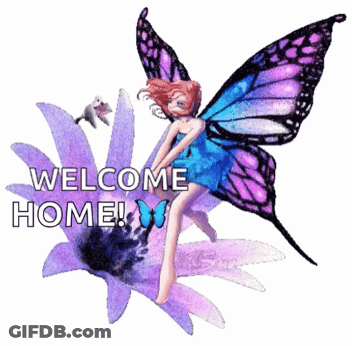 Fairy Welcome Home GIF