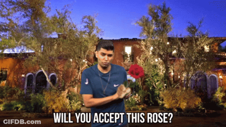 Faizal Khamisa Bachelorette Rose GIF