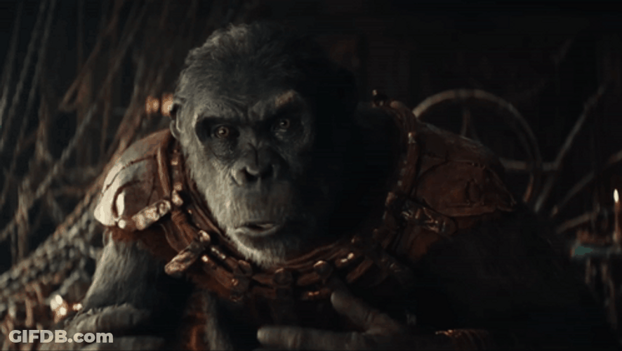 Fake King Talks About Caesar GIF
