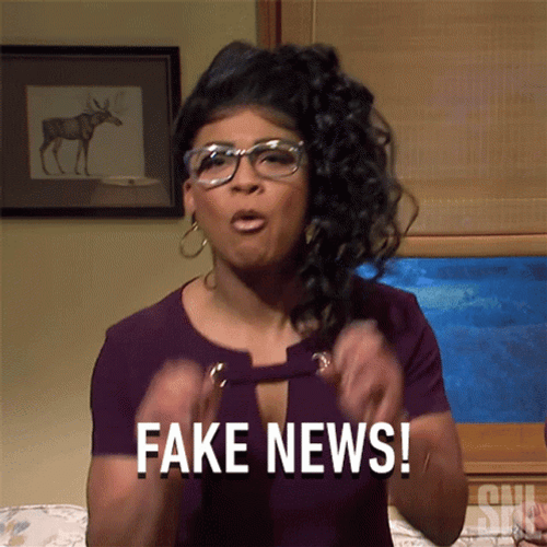Fake News Saturday Night Live GIF