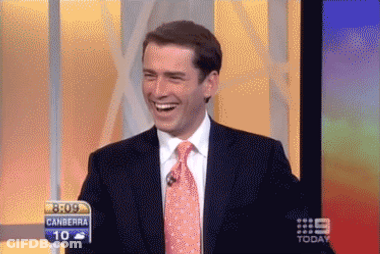 Fake Smile Karl Stefanovic GIF