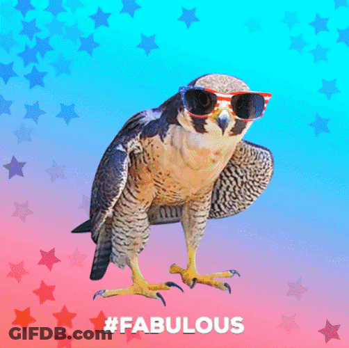 Falcon Thug Life GIF
