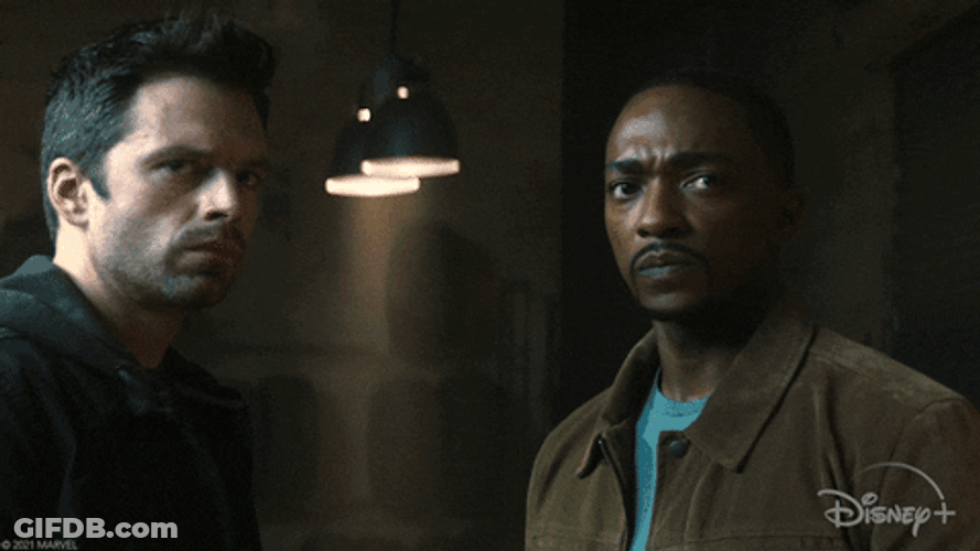 Falcon Where Do We Start GIF