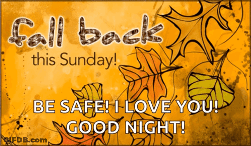 Fall Back This Happy Fall Sunday Be Safe GIF