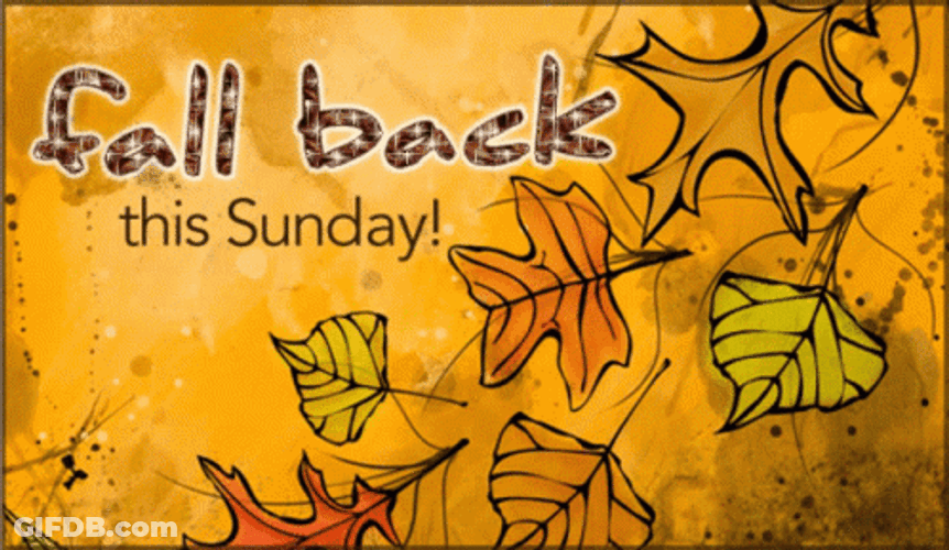 Fall Back This Happy Fall Sunday GIF