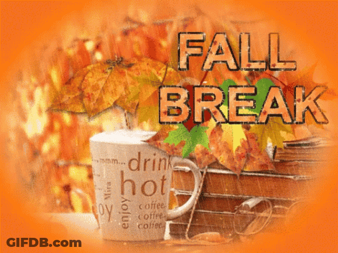 Fall Break In Orange Theme Wallpaper GIF
