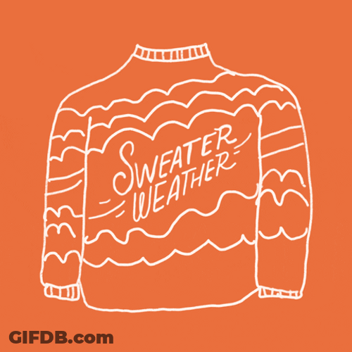 Fall Cozy Sweater Weather GIF