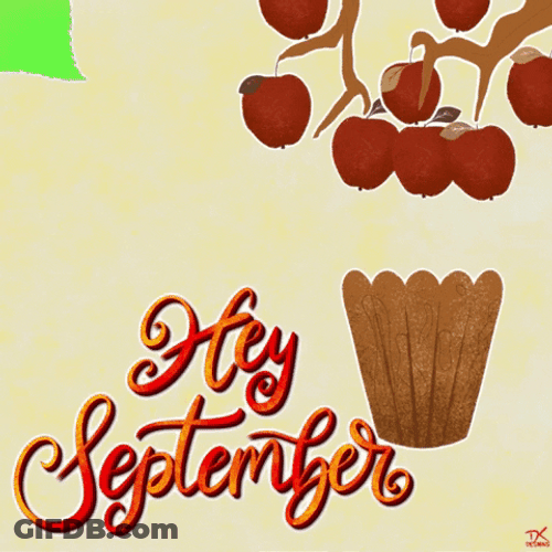 Fall Leaf Apples Hey September GIF