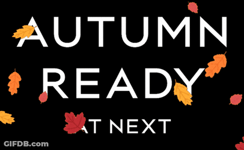 Fall Leaf Autumn Ready At Next GIF