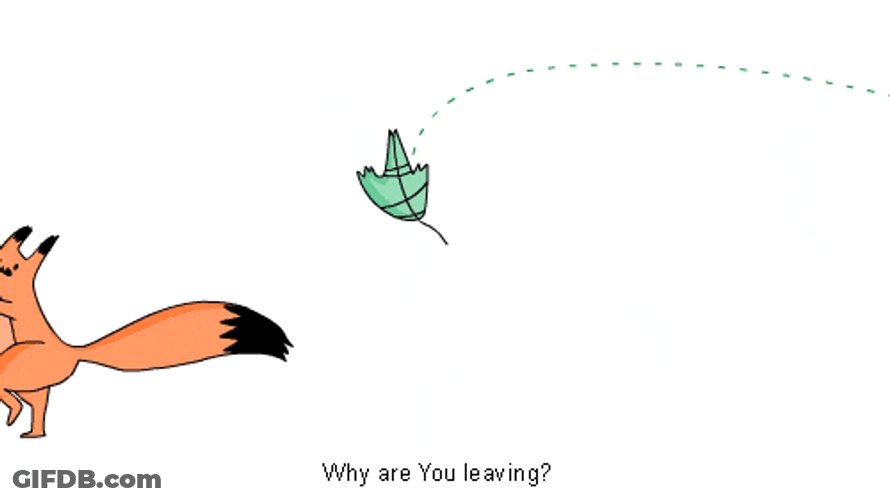 Fall Leaf Fox Running Why Leaving GIF