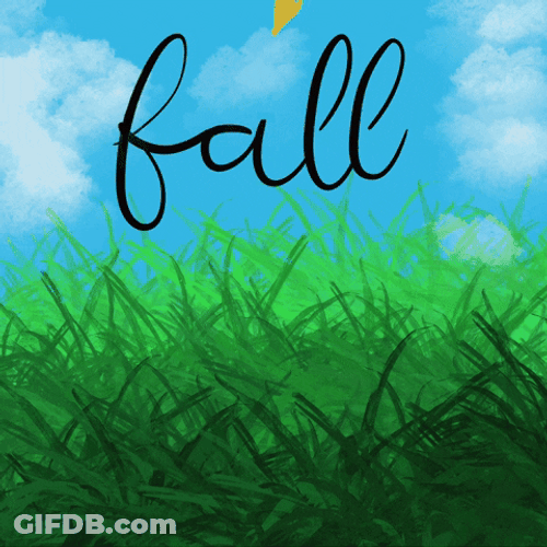 Fall Leaf On Grass GIF
