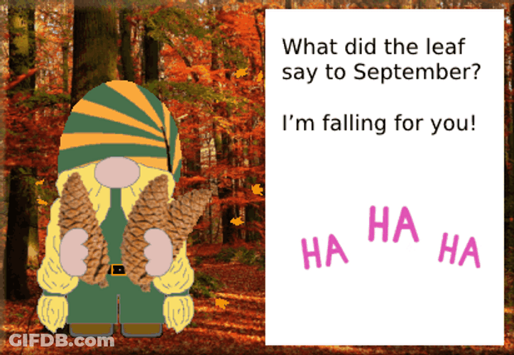 Fall Leaf Say To September Falling For You GIF