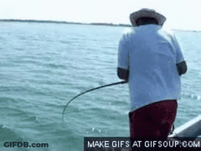 Fall On The Water Funny Fishing GIF