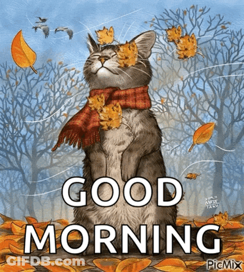 Fall Weather Autumn GIF