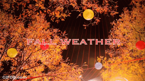 Fall Weather Sign GIF
