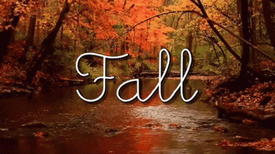 Fall Word Text Scenery GIF