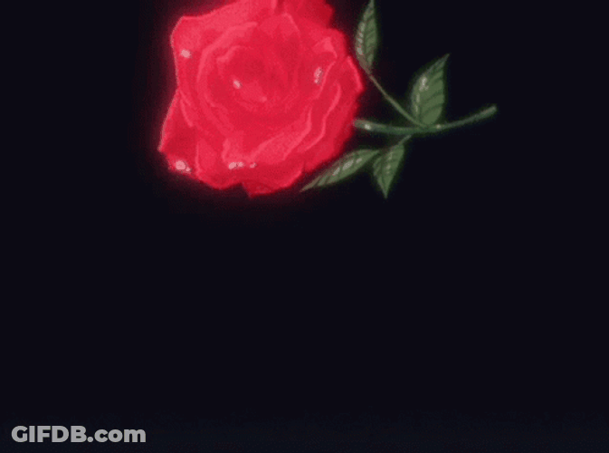 Fallen Red Rose Aesthetic GIF