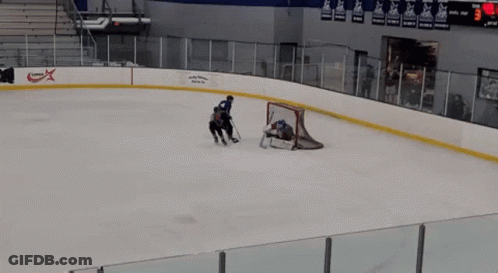 Fallfireup Hockey GIF