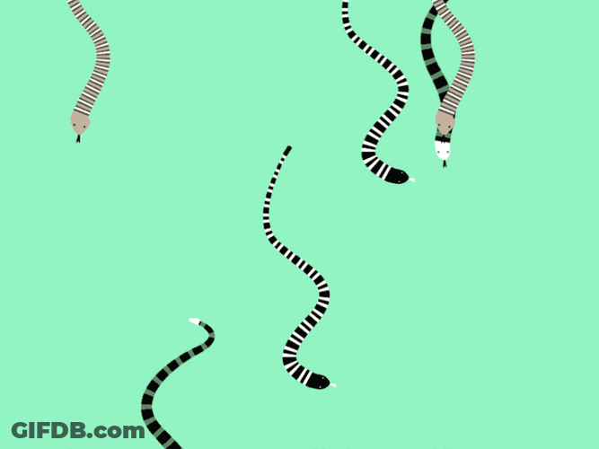 Falling Coral Reef Snakes GIF